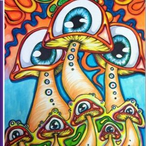 Meet your Posher, Liliana